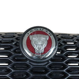 Jaguar I Pace front bumper upper grill 2018-2024 Electric Genuine M9D3-17820-A